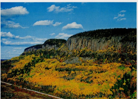 Picture of the west facing cliffs of the Kama Cliffs Conservation Reserve. Logging has taken place below the site and you can see logging access road at the bottom of the photo. Highway 17 is immediately adjacent to the south side of this OLL site and is not too far outside of this photograph.