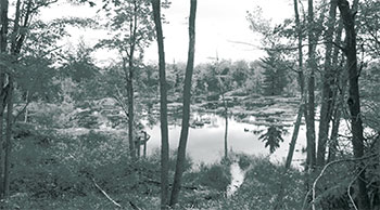 This photo shows a view of Kawartha Highlands.