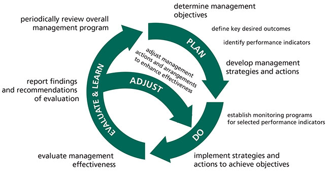 Photo of a chart showing the information related to adaptive management cycle.