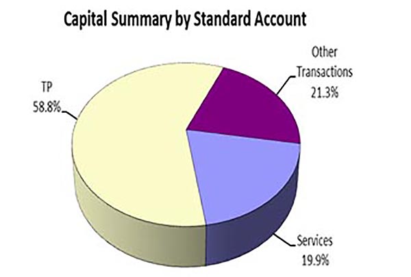 Alt text: Capital summary by standard account pie chart shows transfer payments at 58.8%, services a 19.9% and other transaction 21.3%