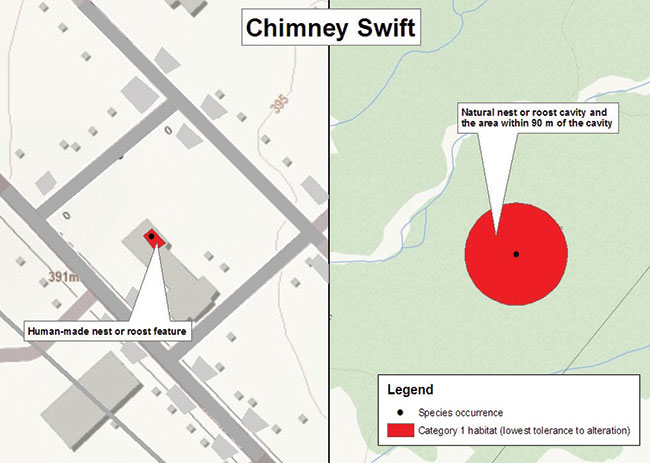 Figure is a diagram illustrating a sample application of the general habitat protection for Chimney Swift, depicting the habitat categorization described in this document. Two examples are shown, including a human-made nest or roost feature and a natural nest or roost cavity.