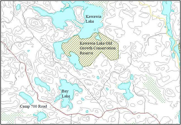 Map of Kawawia Lake Old Growth Conservation Reserve with Camp 700 Road under Bay Lake.