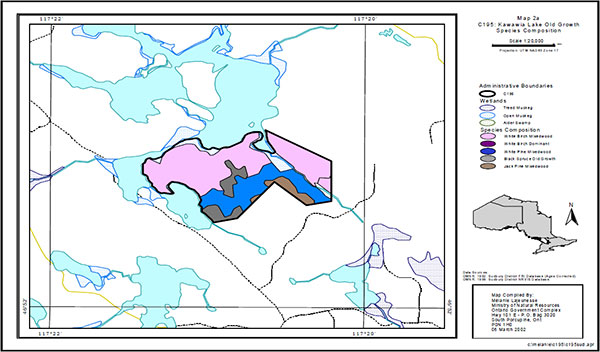 Map of the Kawawia Lake Old Growth that include the Administrative Boundaries of both Wetlands and the Species Composition.