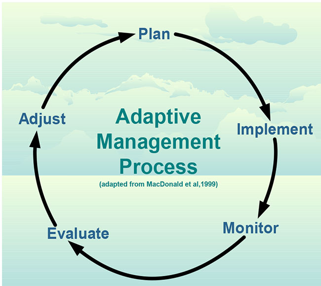 This photo shows an infographic about the adaptive management process, a circle from plan to implement to monitor, to evaluate and the last step adjust and again plan.