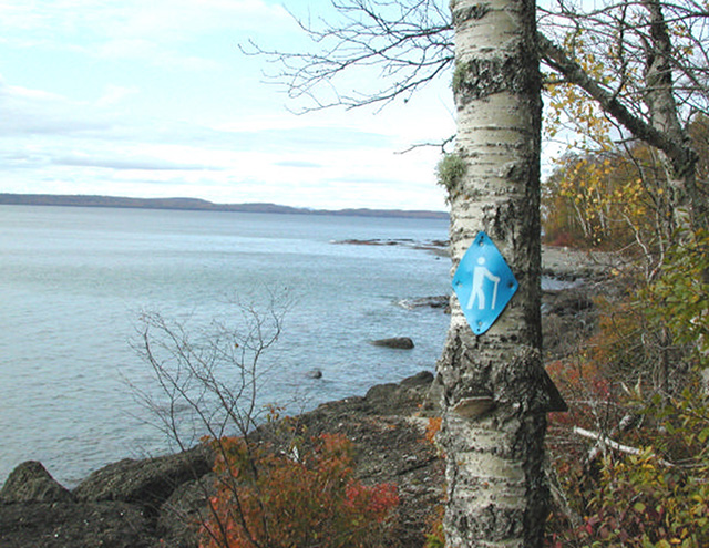Figure 8: View of Lake Superior from the Casques Isles Voyageur Hiking Trail.