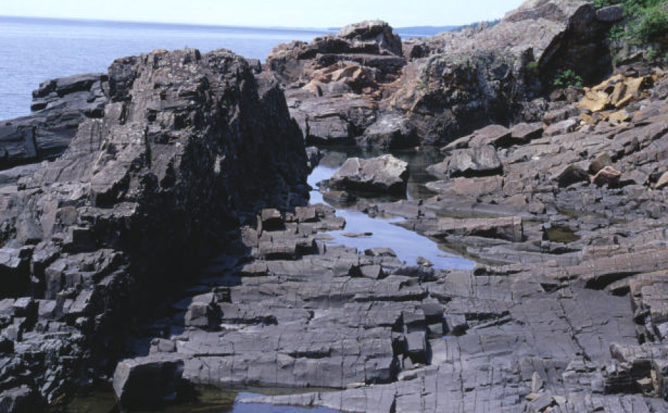 Figure 4: Rocky shore.