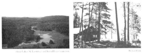 Leftside of a black and white photo of a forest section near Lake Superior and on the right, a black and white photo of a cabin in the forest