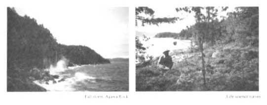 Photo of water near Agawa Rock and the right photo is a man walking in the forest.