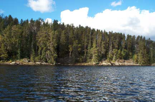 This is photo 5 displaying the typical low, rocky shoreline of Back Lawrence Lake.