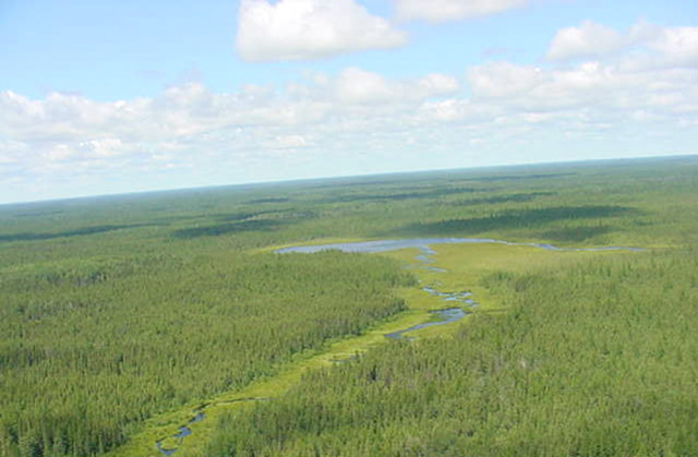 This is figure 7 photo aerial view of the Low/Bell Conservation Reserve, Part B.