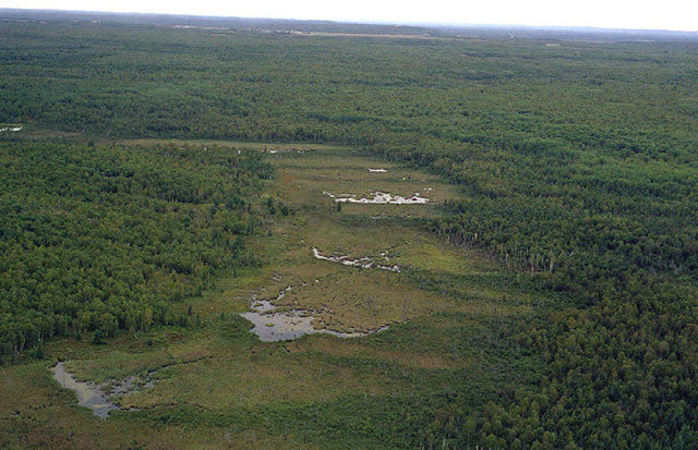 This is figure 2 photo showing an aerial view of MacLennan Esker Forest Conservation Reserve