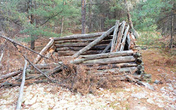 This photo shows remnants of a historic cabin within the park .