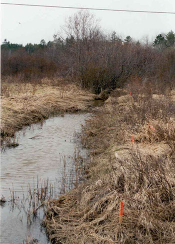 This photo shows agricultural drainage which is adjacent to Musky Island Road.