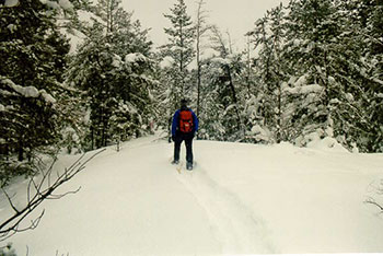 This photo shows a man snowshoeing in the park.