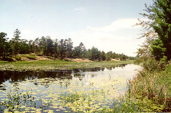 Photo of Muskrat Creek.
