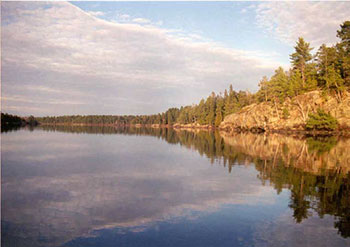 This photo shows the shoreline along the West Arm of Lake Nipissing.