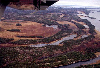 This is an aerial photo of the West Bay Zone which is adjacent to the Loudon Basin Peatland .