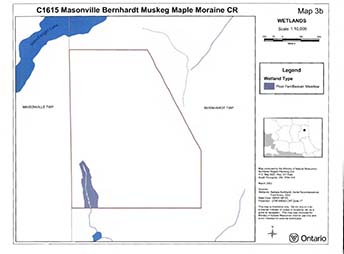 Masonville Bernhardt Muskeg Maple Moraine Conservation Reserve ...