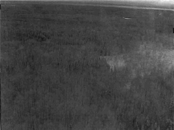 Photo showing the site and adjacent harvested area.