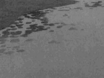 black and white photo of the north east shore of Okikodosik Narrows Block.