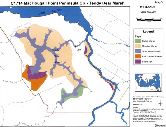 colour map of MacDougal Point Peninsula Conservation Reserve Teddy Bear Marsh wetlands. Green areas represent cattail marsh, beige areas represent meadow marsh, indigo areas represent open water marsh, orange areas represent rich conifer swamp, and purple areas represent shore fen.