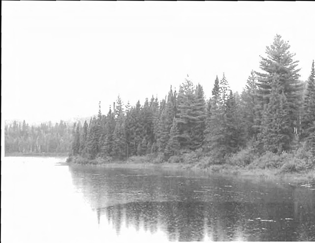 Photo of Boundary Lakes, located at the south-east corner of the site.