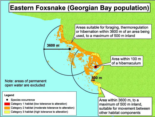 Diagram illustrating a sample application of the habitat regulation for Eastern Foxsnake (Georgian Bay population), depicting the habitat categorization described in this document.