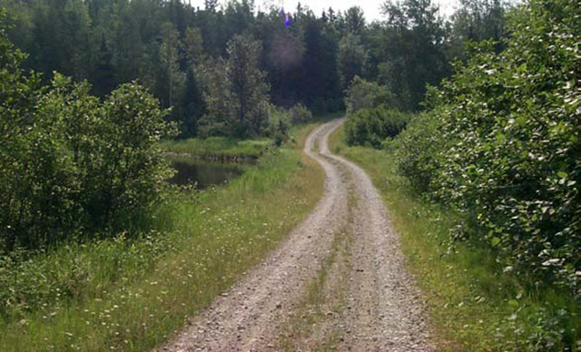 This is figure 3: Tertiary road leading to north access/campsite.