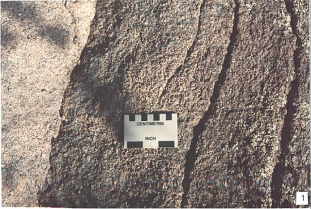 Photo 1: Pink, massive, hornblende quartz monzonite of the Melgund Lake (Stn. 3; UTM 0550981E 5498808N)