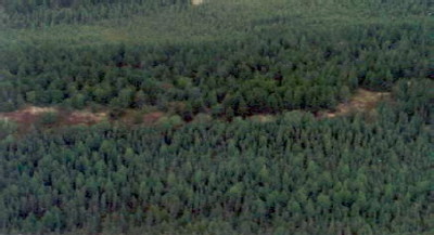 Aerial photo of Jack pine mixedwood stand on sand dunes in northwestern corner of Meteor Lake Outwash Fans Conservation Reserve