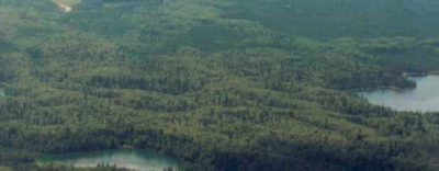 Aerial photo of White birch mixedwood stands near Metor and Jen lakes