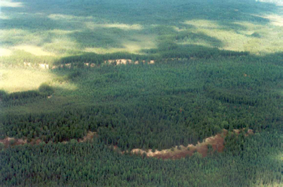 Aerial photo showing the sand dunes in the northwestern portion of Meteor Lake Outwash Fans Conservation Reserve 