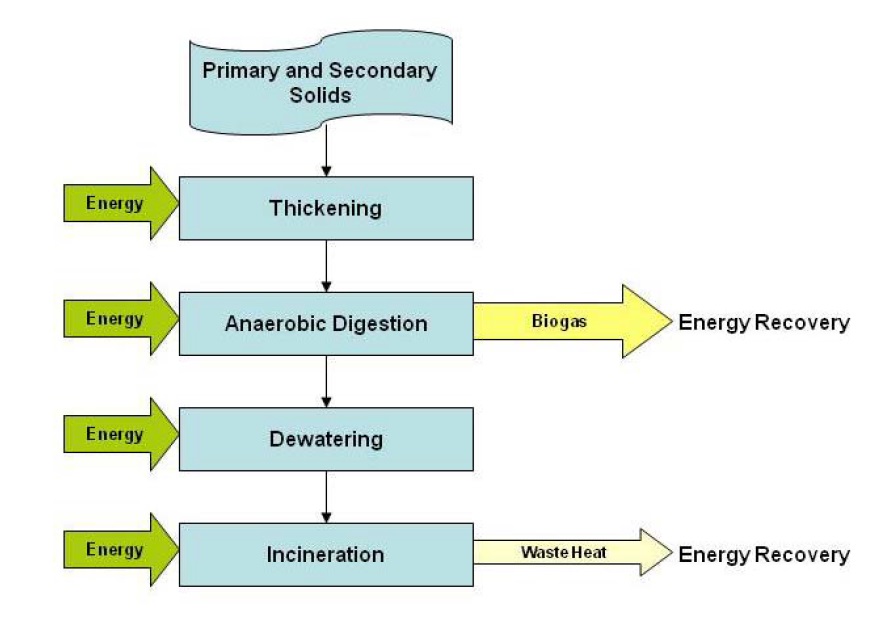 This flow diagram depicts the typical unit process stages in the solids train at a sewage treatment plant for the processing of primary and secondary solids from the liquid train. The sequential process stages shown include thickening, anaerobic digestion, dewatering, and incineration. The diagram illustrates that energy is used at each of the process stages. Also depicted is the potential for a relatively high amount of energy recovery from biogas generated at the anaerobic process stage and the potential for energy recovery as waste heat at the incineration stage.