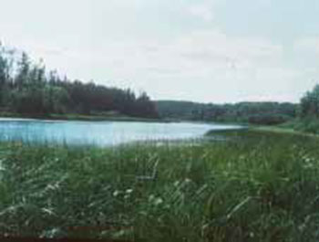 Photo of a river and the sky, Hay River Wetlands.