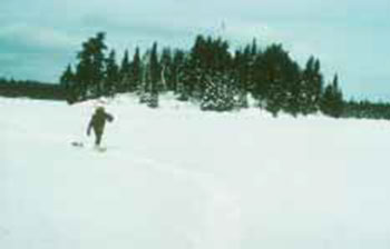Photo of a man walking on snow, Trapping, Traditional winter travel.