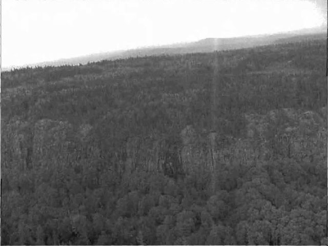 black and white photo of a rock face in the northwest corner of Mistinikon Lake Uplands Conservation Reserve (C1600)