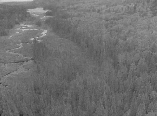 black and white photo of a stream