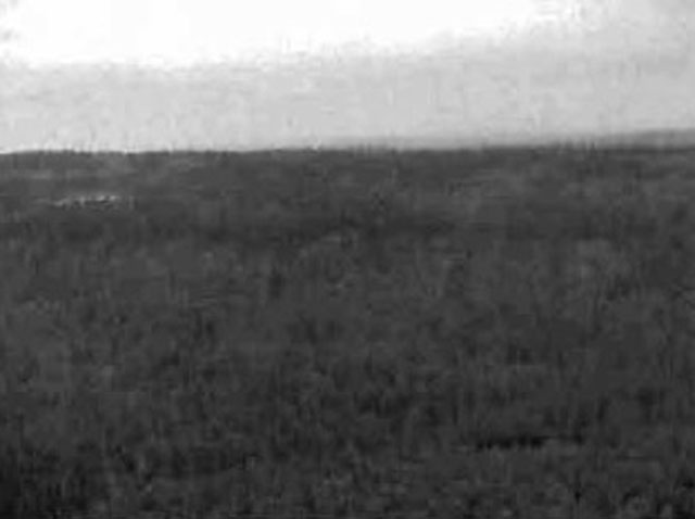 Black and white photo of an esker wall in the north west of the Q19 site in the Mistinikon Lake Uplands Conservation Reserve.