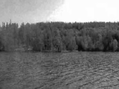 black and white photo of a cottage