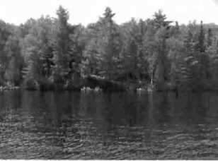 black and white photo of a cottage