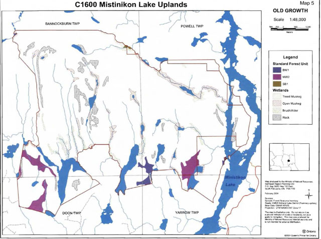 Old Growth Map of Mistinikon Lake Uplands Conservation Reserve showing Standard Forest Units of BW1, MW2 and SB1 and Treed Muskeg, Open Muskeg, brush/alder and rock wetlands. The map scale is 1:48,000 (meters) with Universal Transverse Mercator (UTM) projection.