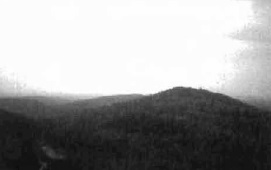 Black and white photo of a view from southern boundary looking toward fire tower. Forest communities include white birch predominant hardwood, poplar hardwood mixed & By mixedwood. Supercanopy spruce scattered throughout. Float mats in lake.