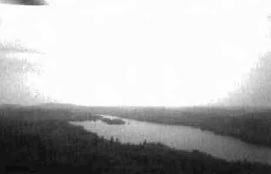 Black and white photo of Mistinikon Lake from the west shorel ine looking northeast. South side of Bell Island visible. Forest communities in foreground include white birch hardwood mixed, poplar pure, black spruce mixedwood & white birch predominant hardwood. Supercanopy Pw scattered throughout.