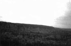 Black and white photo of a rock cliff in the northwest corner of the Conservation Reserve, looking southeast. White birch mixedwoods at the base and black spruce mixedwoods on the upper slopes.