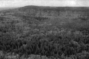 Black and white photo showing a general view approximately ESE into the northwest part of the conservation reserve. Note the bedrock escarpment in the upper central and upper right parts of the photograph. The crest area of a second escarpment feature, also located in the conservation reserve, is evident in the lower left part of the photograph.