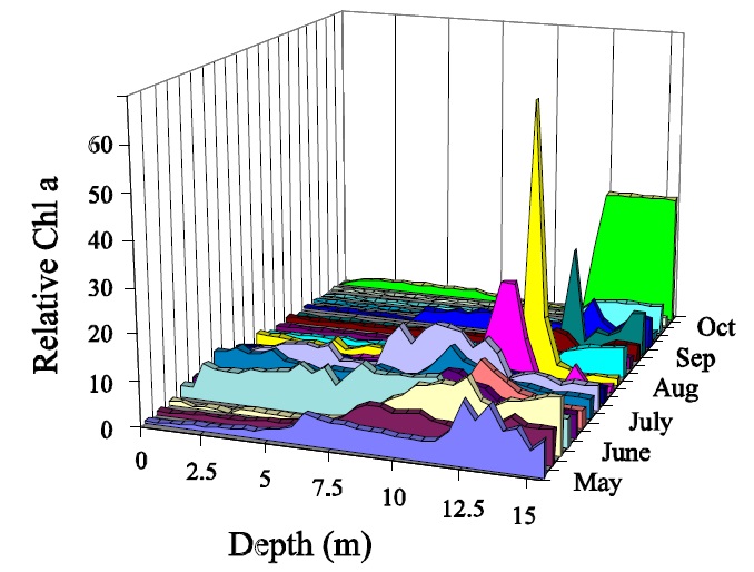 Three-dimensional graph showing the vertical distribution of chlorophyll a in Plastic Lake across months, from May to October.  Chlorophyll a concentrations are commonly highest at depth in Plastic Lake (that is, below 10 metres lake depth)