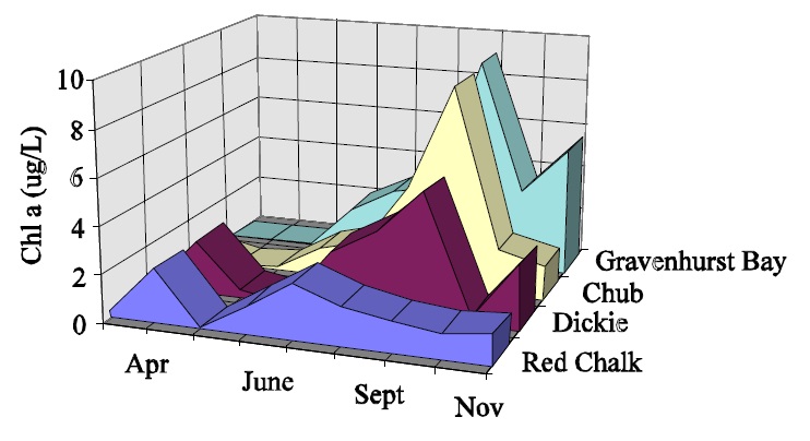 Three-dimensional graph showing the vertical distribution of chlorophyll a in Plastic Lake across months, from May to October.  Chlorophyll a concentrations are commonly highest at depth in Plastic Lake (that is, below 10 metres lake depth).