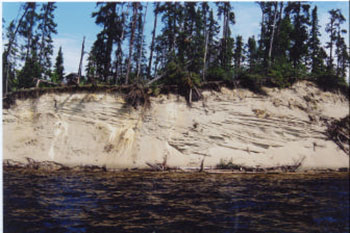This is a photo showing part of the shoreline for Mojikit Lake and Ogoki Reservoir area.