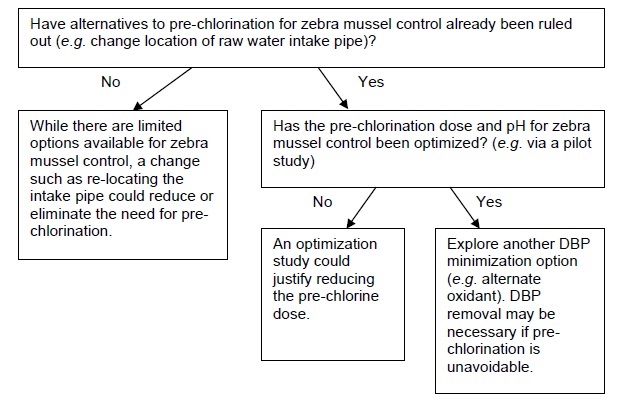 Have alternatives to pre-chlorination for zebra mussel control already been ruled out (for example, change location of raw water intake pipe)? If no: while there are limited options available for zebra mussel control, a change such as re-locating the intake pipe could reduce or eliminate the need for pre-chlorination. If yes: has the pre-chlorination dose and potential hydrogen for zebra mussel control been optimized? (for example, via a pilot study) If no: an optimization study could justify reducing the pre-chlorine dose. If yes: explore another Disinfection By-Product minimization option (for example, alternate oxidant). Disinfection By-Product removal may be necessary if pre-chlorination is unavoidable.