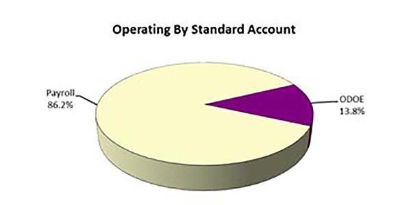 This pie chart shows the operating by standard account. The Payroll is at 86.2% and the Other Direct Operating Expenditures is at 13.8%)
